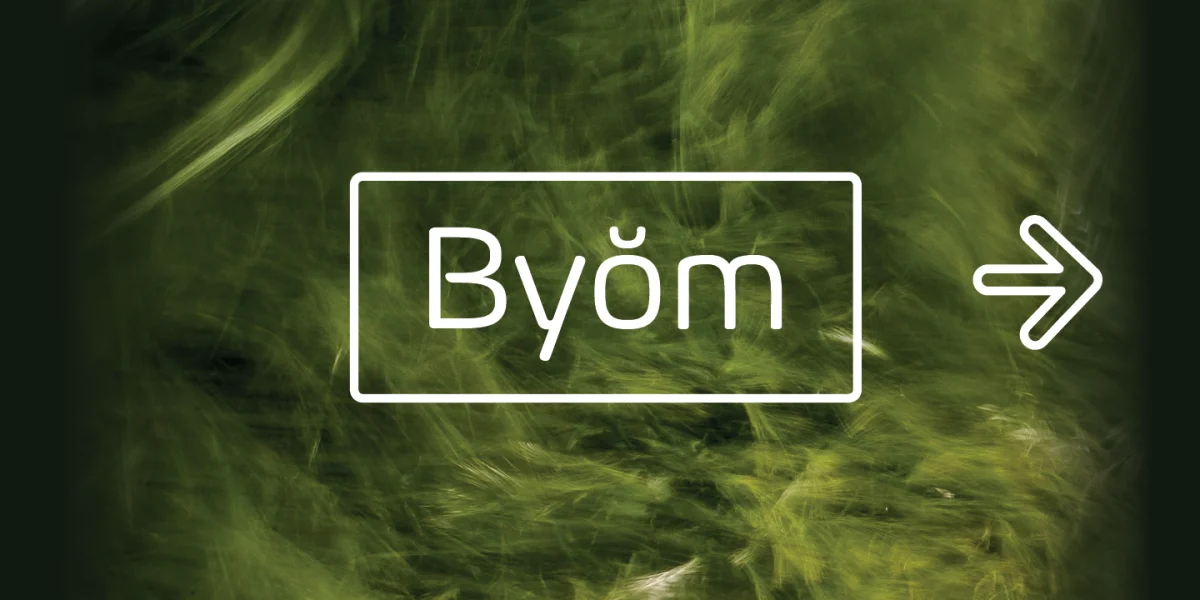 Byom Font Family