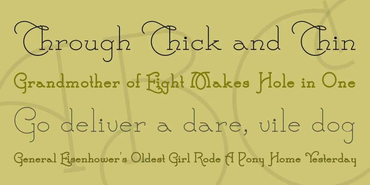 Calamity Jane NF Font Family preview 2