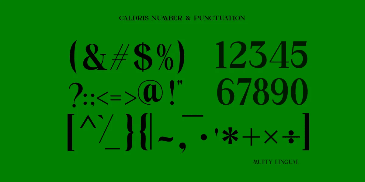 CALDRIS Font preview 6