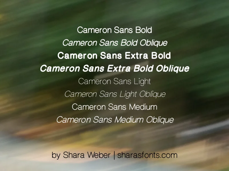 CameronSans Font Family