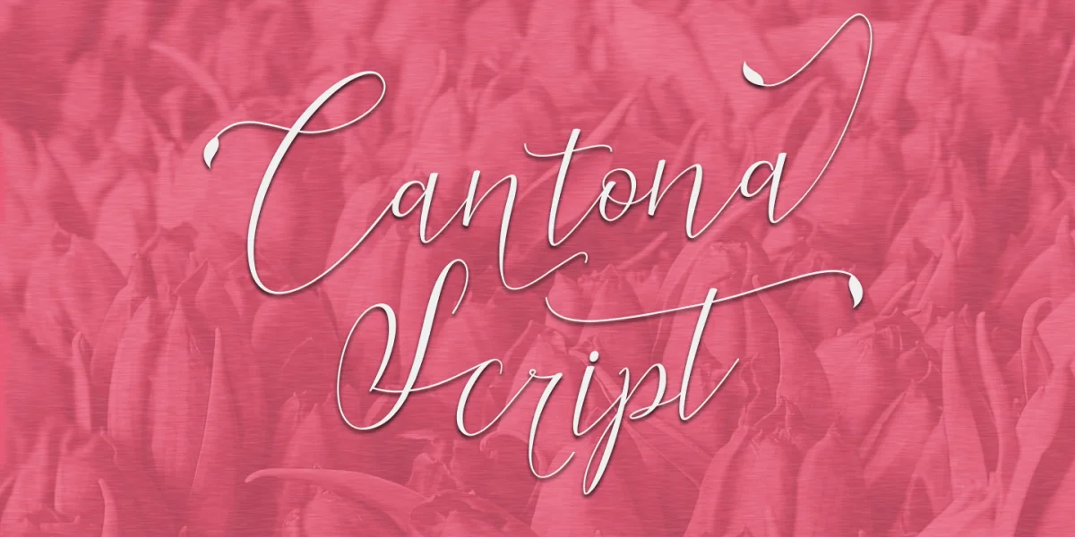 Cantona Script Font preview 2