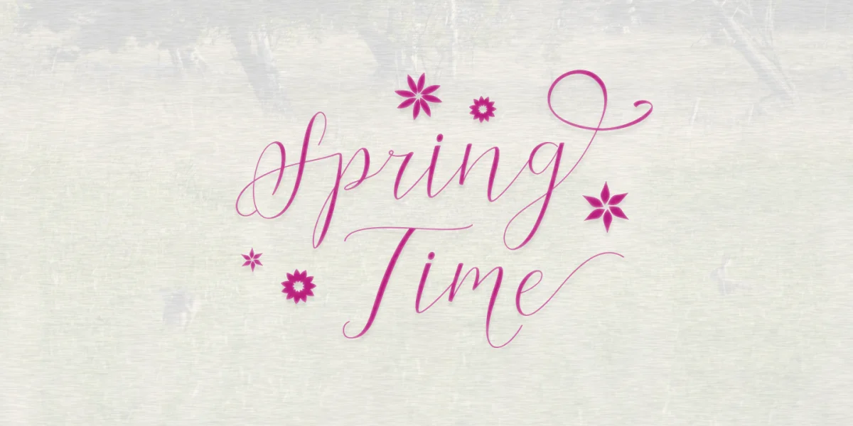 Cantona Script Font preview 6