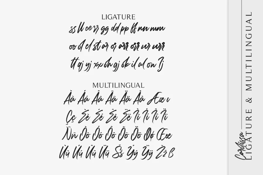 Carolissa Font preview 12