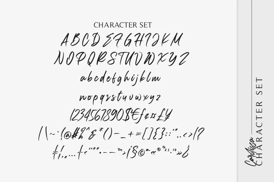 Carolissa Font preview 13
