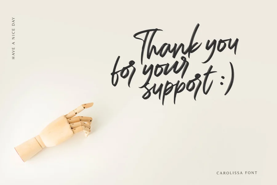 Carolissa Font preview 14