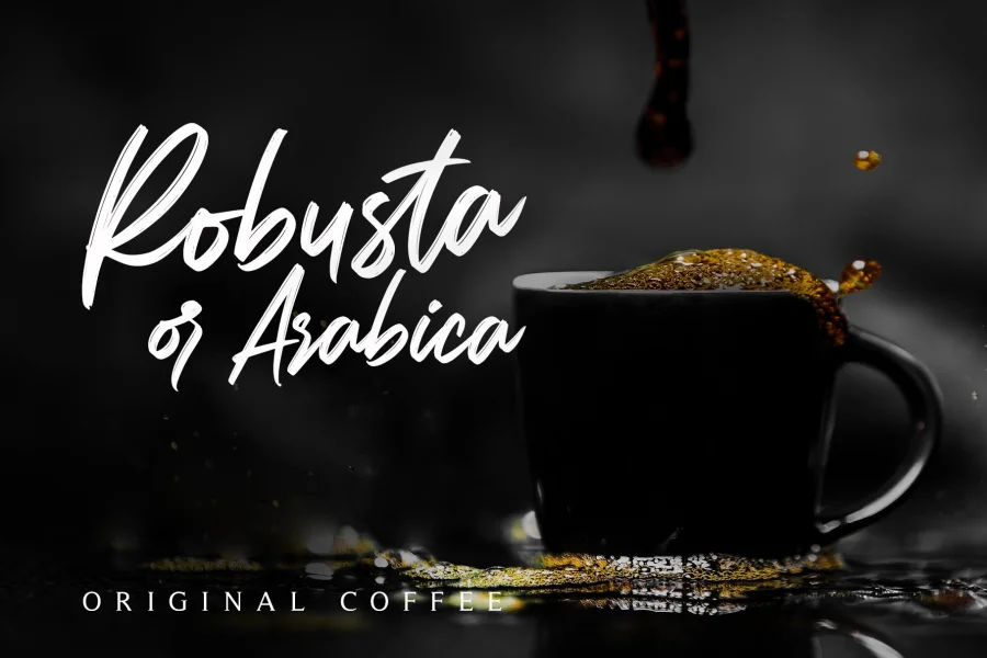 Carolissa Font preview 3