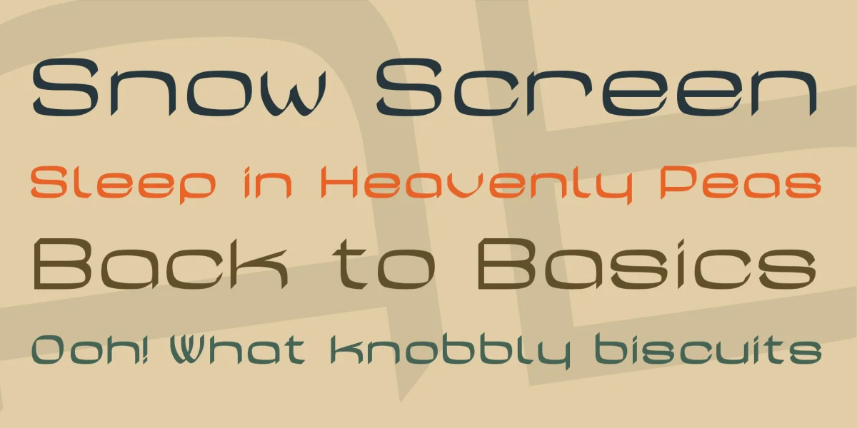 Casa Sans Font Family preview 2