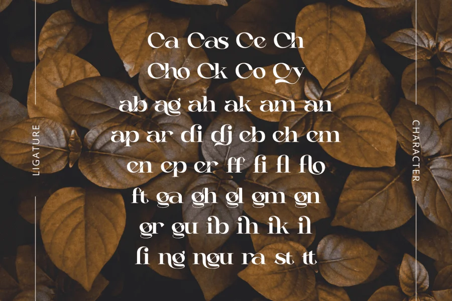 Casko Luxury Demo Font preview 10