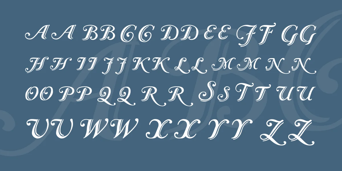 Caslon Font Family preview 3