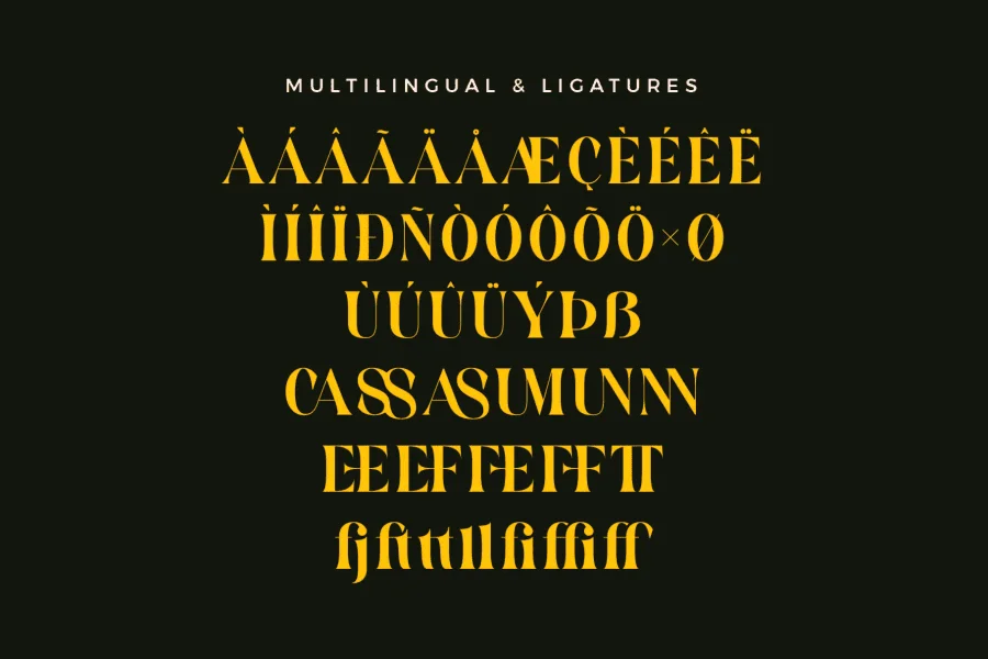 Casson Font preview 8