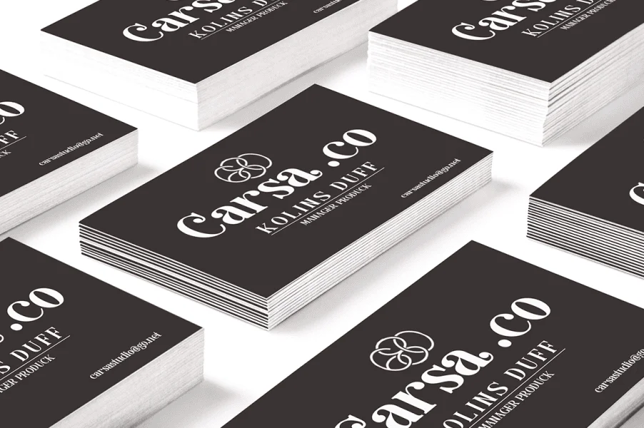 Caster Serif Font preview 4