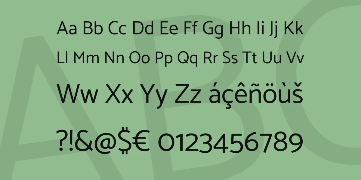 Catamaran Font Family preview 4