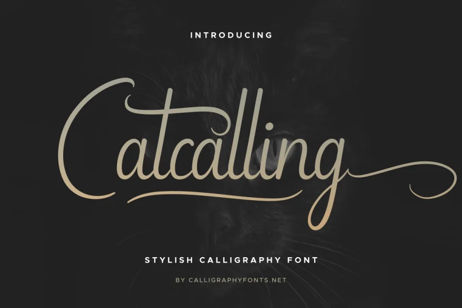 Catcalling Demo Font