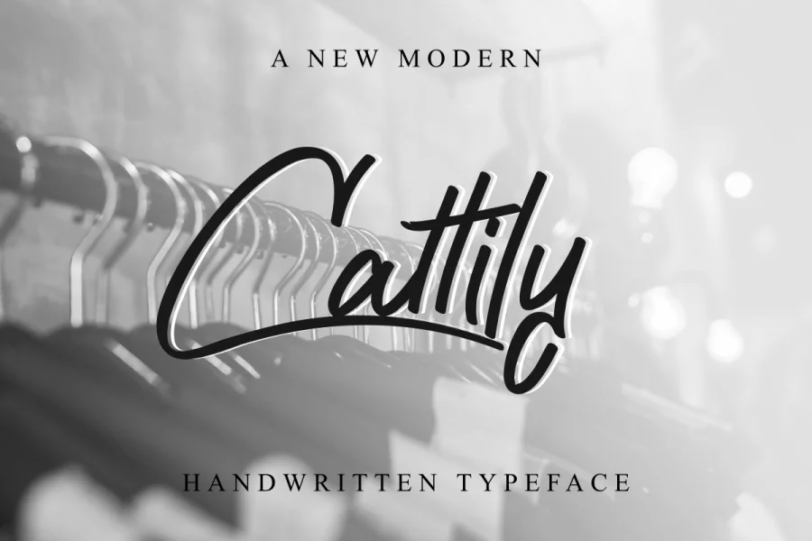 Cattily Demo Font preview 12