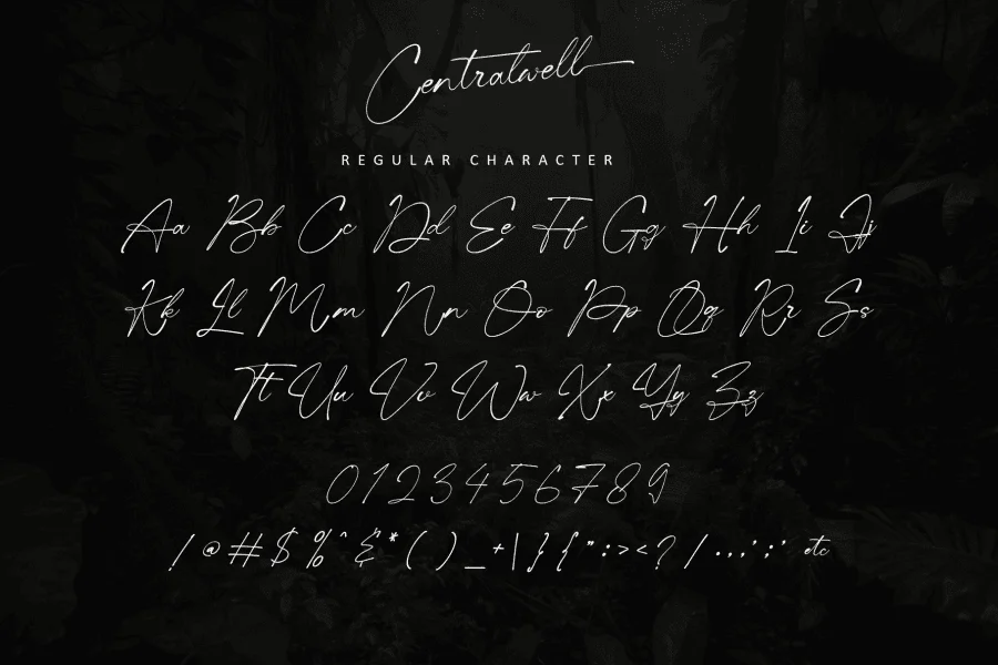 Centralwell - Personal use Font preview 11