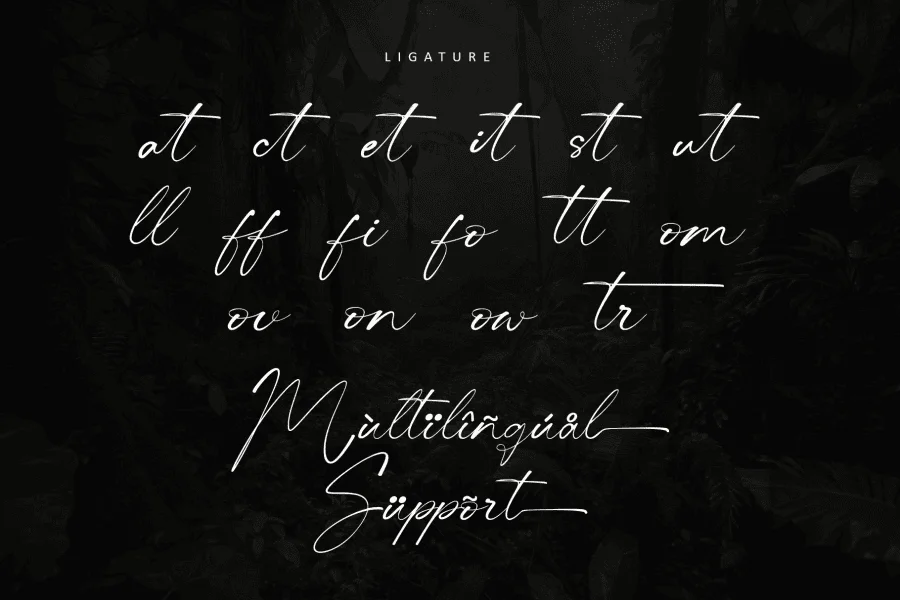Centralwell - Personal use Font preview 13