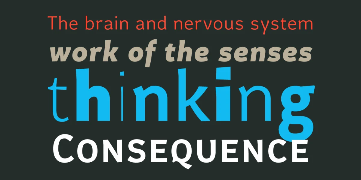 Certa Sans Font Family preview 3
