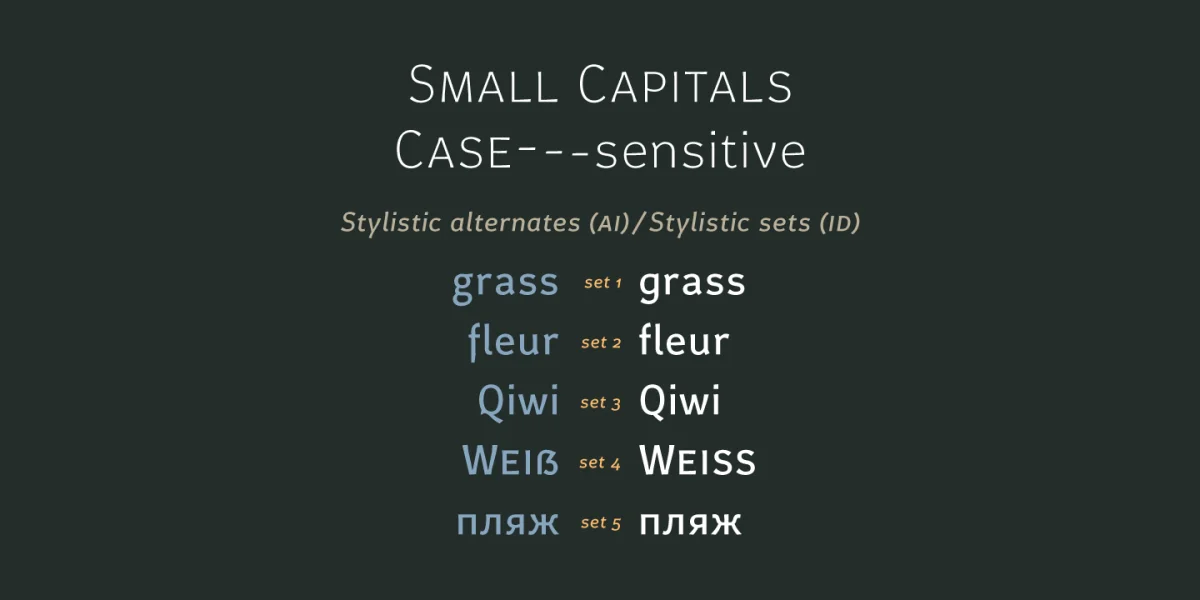 Certa Sans Font Family preview 5
