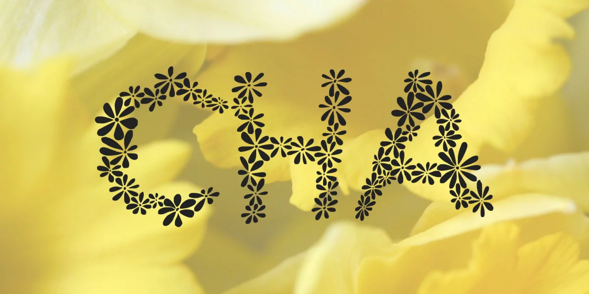 Cha Font preview 2