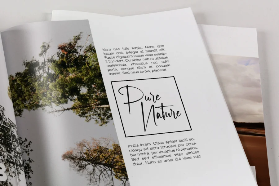 Chalmette Demo Font preview 10