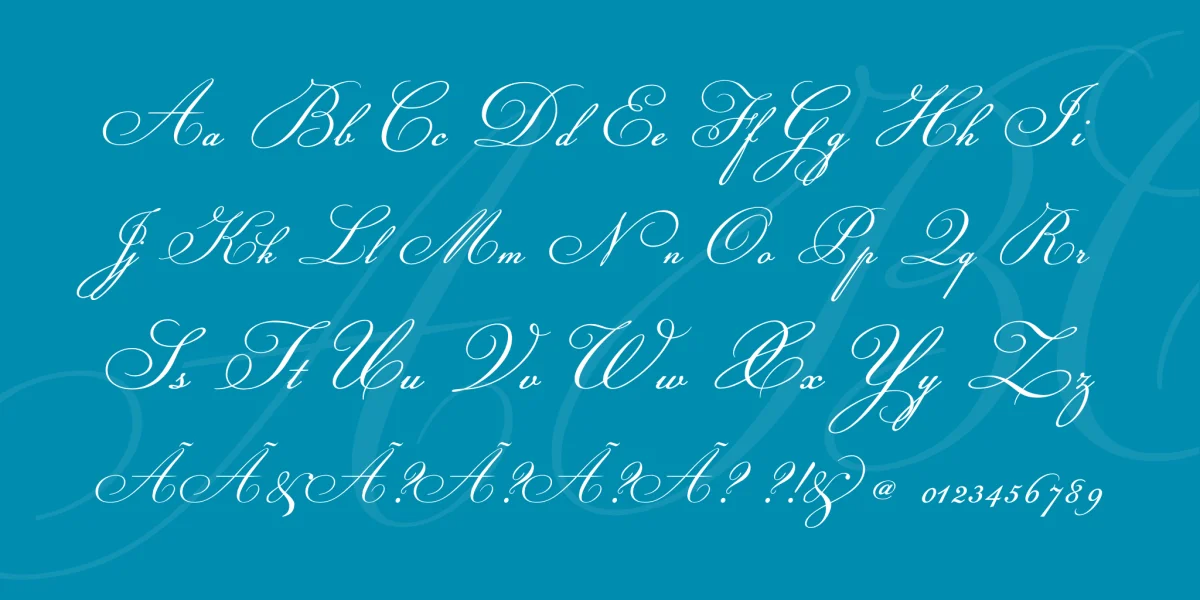 Champignon Font Family preview 3