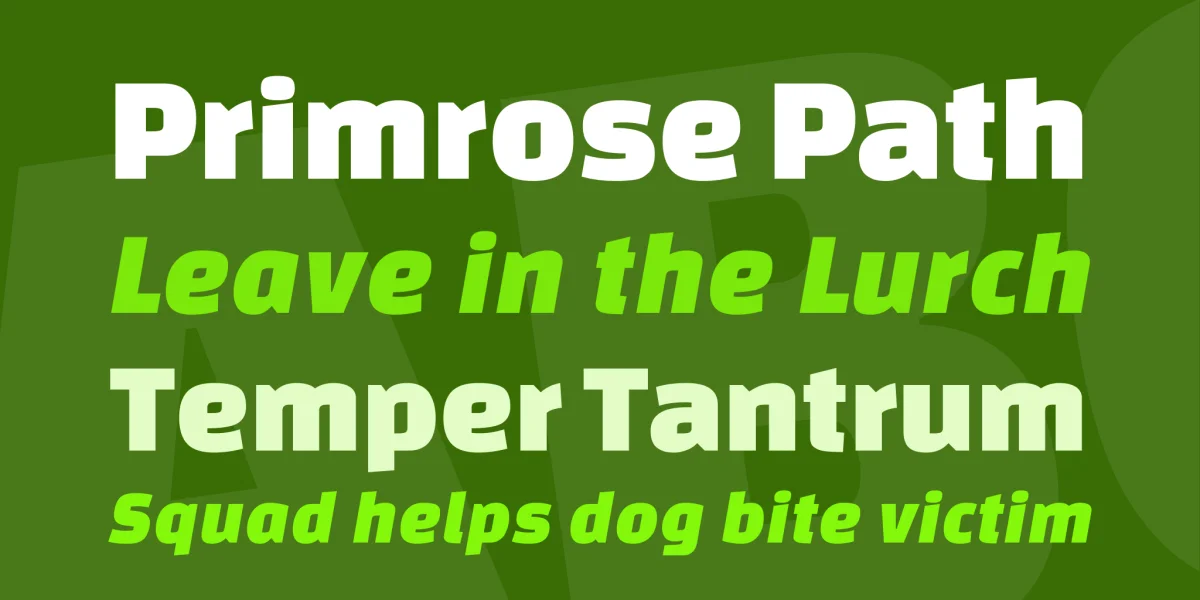 Changa One Font Family preview 2