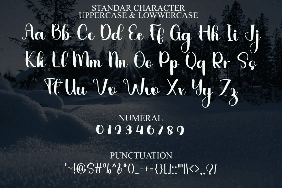 Cheerfull Blossom Font preview 7
