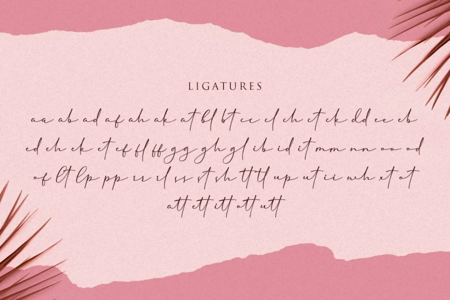 Cherolina Font preview 12