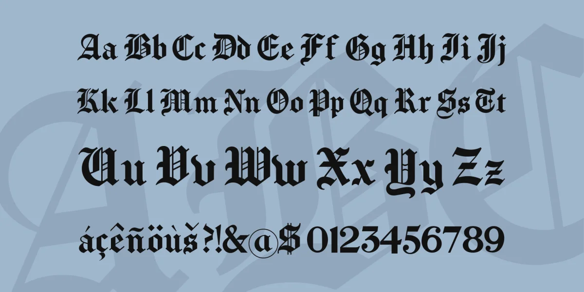 Chomsky Font preview 4