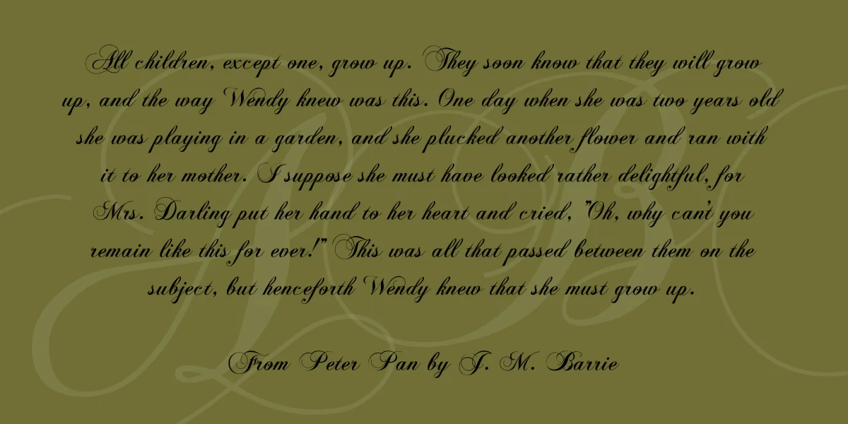 Chopin Script Font preview 3