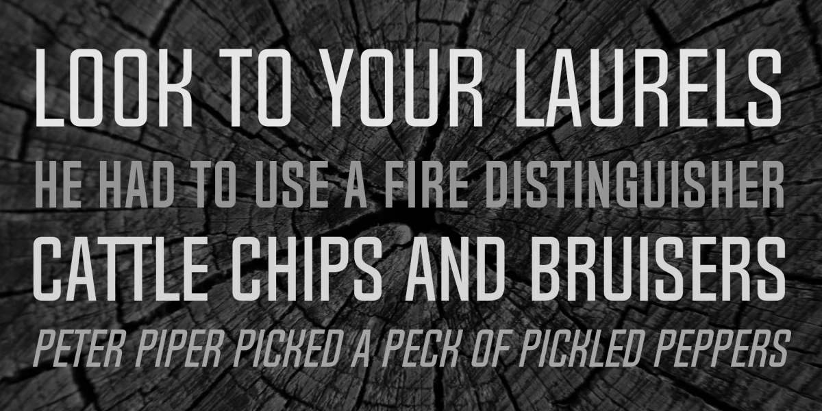 Chosence Font Family preview 5