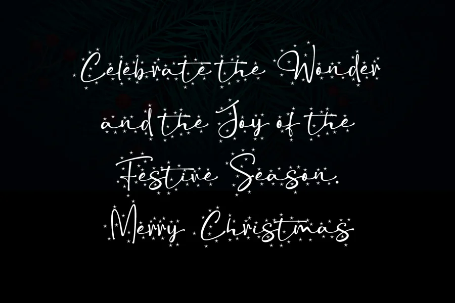 Christmas Snowflake - Personal Font preview 5