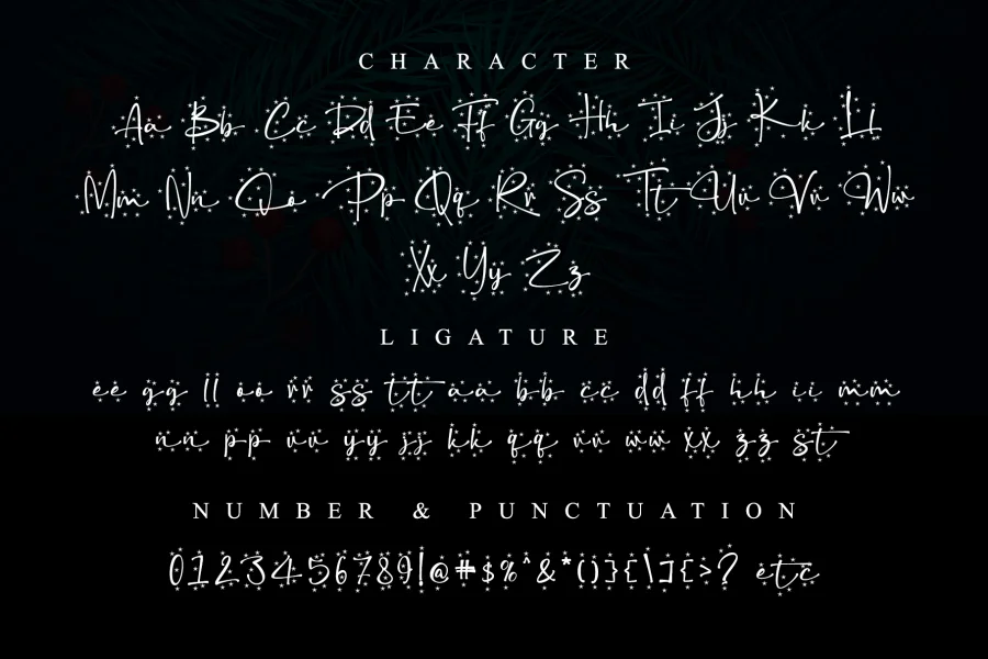Christmas Snowflake - Personal Font preview 6