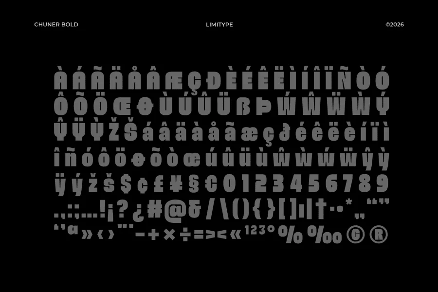 Chuner Demo Font preview 11