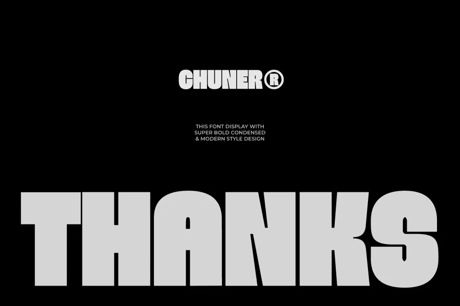 Chuner Demo Font preview 12