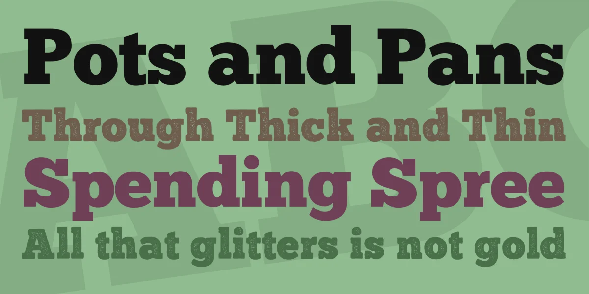 ChunkFive Font Family preview 2