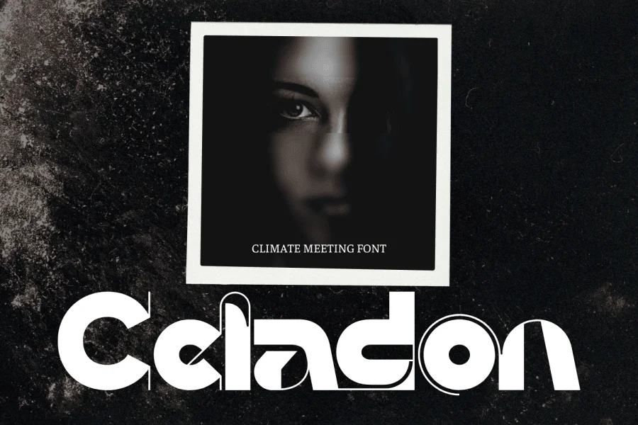 Climate Meeting Demo Font preview 4