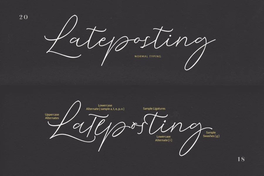Cochocib Script Free Font preview 4