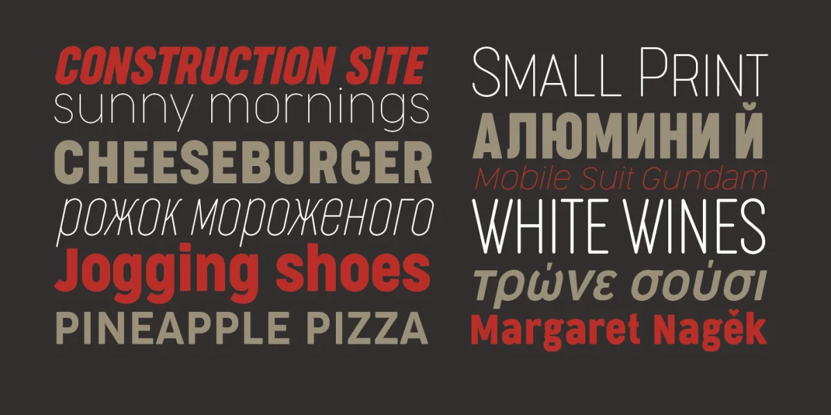 Cocogoose Narrows Font Family preview 4