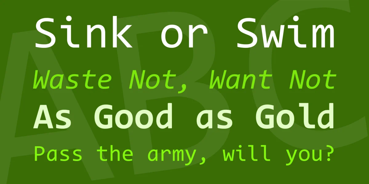 Code New Roman Font Family preview 2