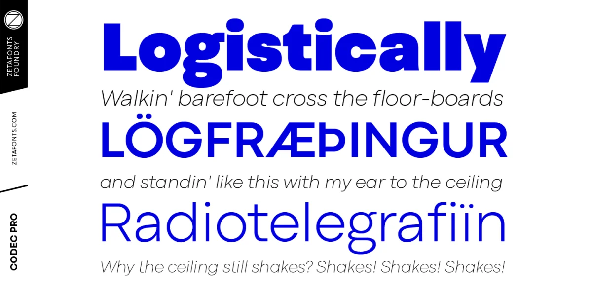 Codec Pro Font Family preview 3