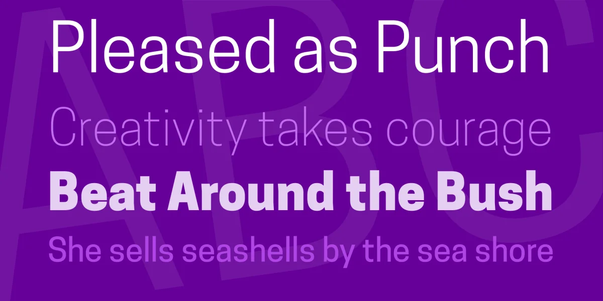 Cooper Hewitt Font Family preview 2