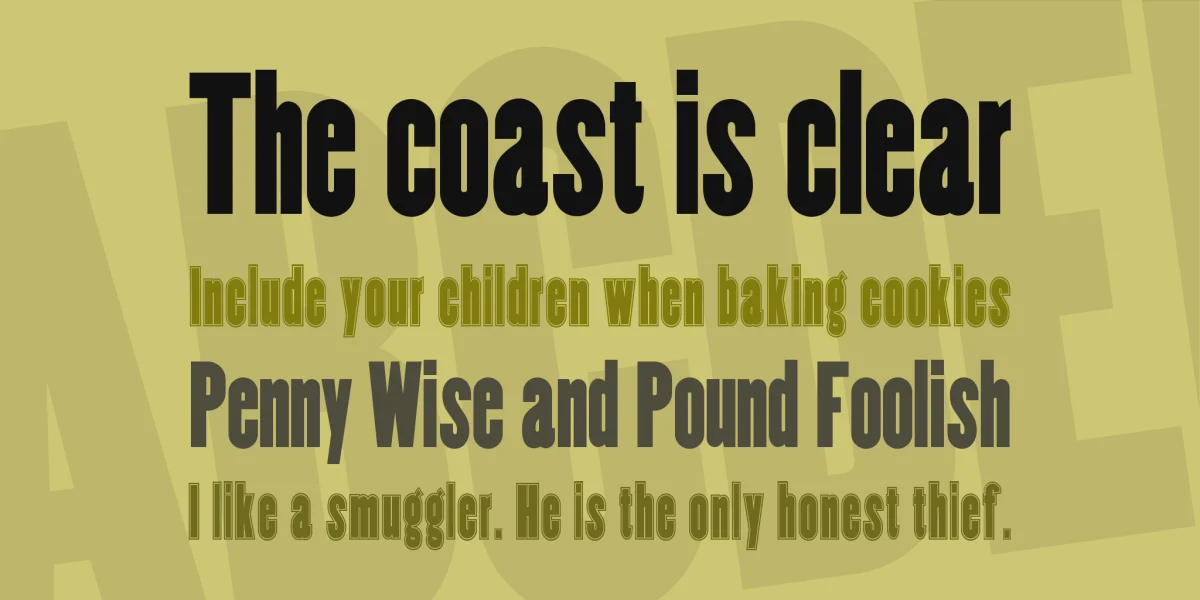 Copper Canyon Font Family preview 2