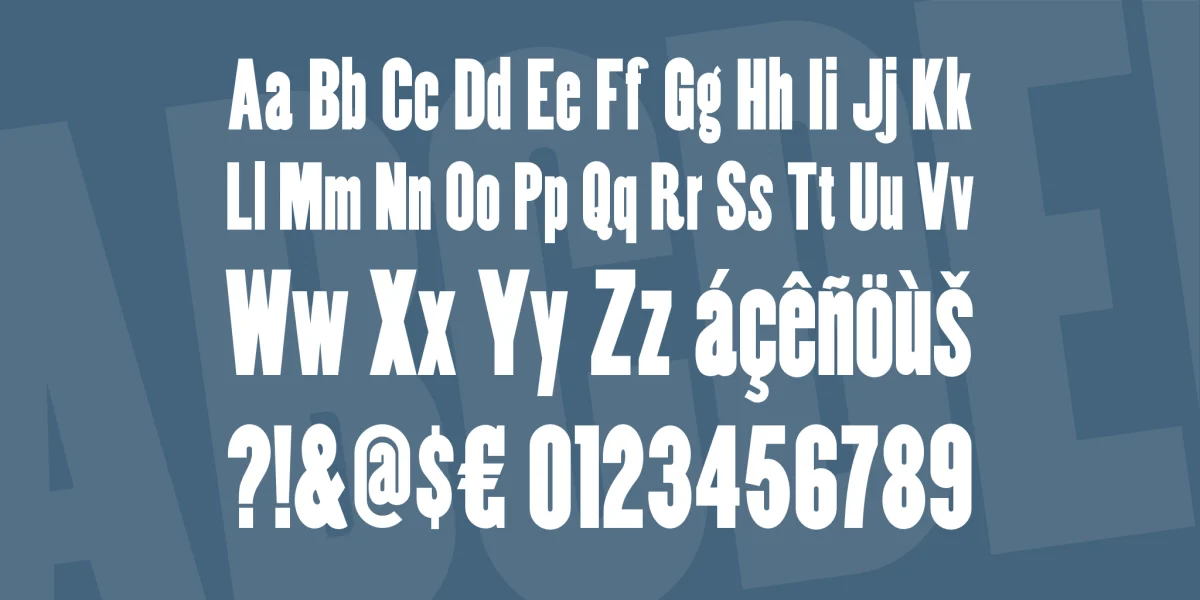 Copper Canyon Font Family preview 3