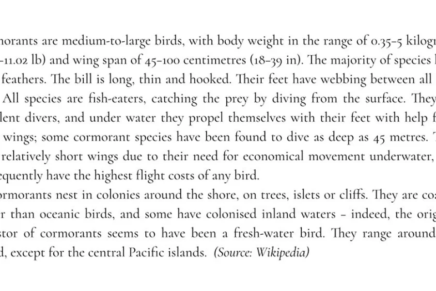 Cormorant Font Family preview 3