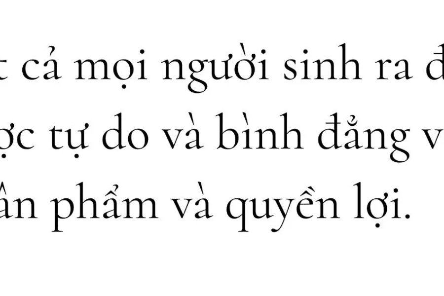 Cormorant Font Family preview 6