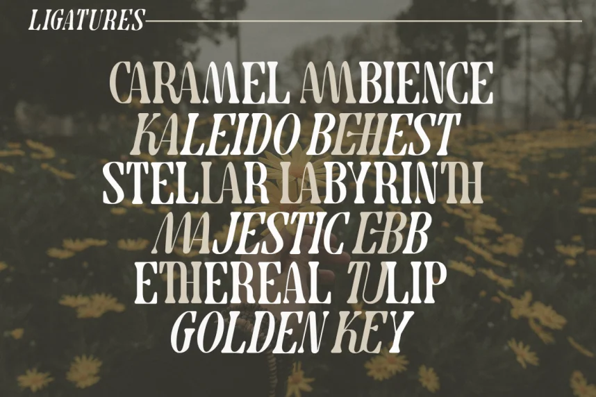 Cravela Font preview 3