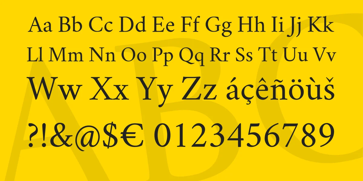 Crimson Font Family preview 4