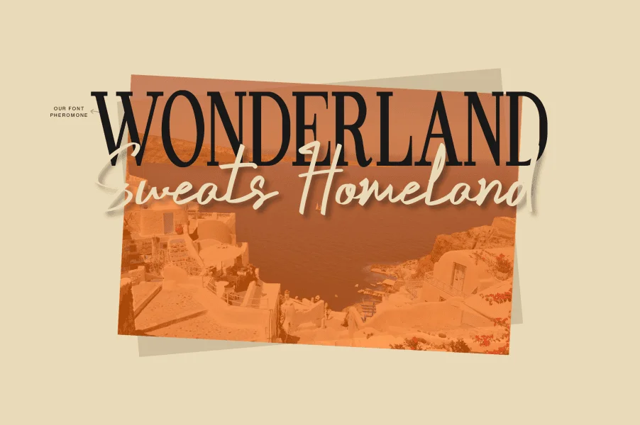 Crustaceans Signature DEMO Font preview 18