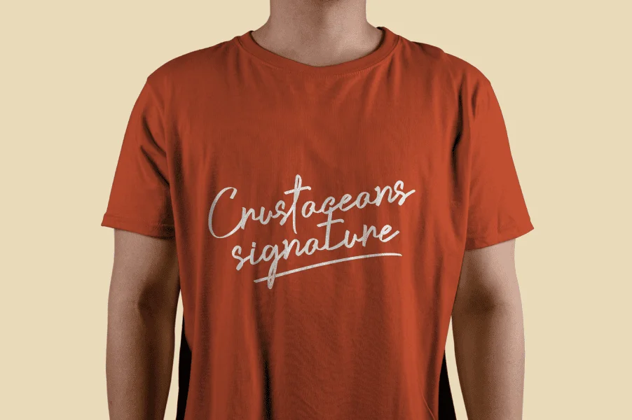 Crustaceans Signature DEMO Font preview 3